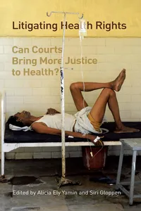 Litigating Health Rights_cover