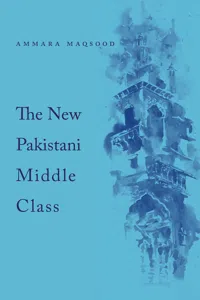 The New Pakistani Middle Class_cover