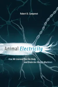 Animal Electricity_cover