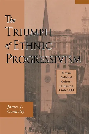 Book cover image for: The Triumph of Ethnic Progressivism