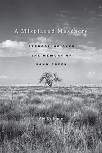 A Misplaced Massacre_cover