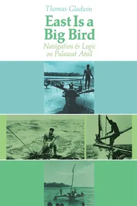 East Is a Big Bird_cover