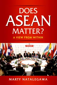 Does ASEAN Matter?_cover