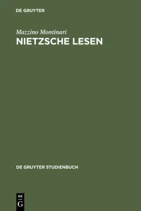 Nietzsche lesen_cover