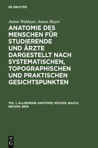 Allgemeine Anatomie, Rücken, Bauch, Becken, Bein_cover