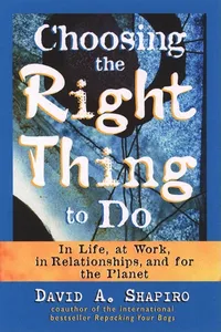 Choosing the Right Thing to Do_cover
