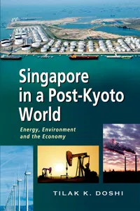 Singapore in a Post-Kyoto World_cover