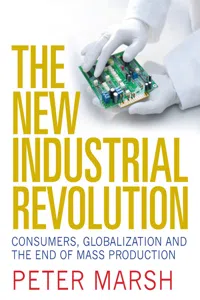 The New Industrial Revolution_cover