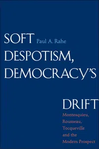 Soft Despotism, Democracy's Drift_cover