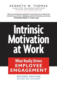 Intrinsic Motivation at Work_cover