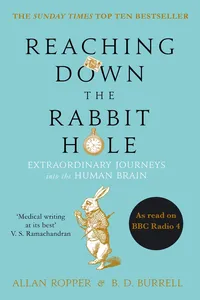 Reaching Down the Rabbit Hole_cover