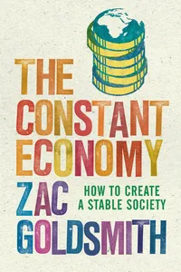 The Constant Economy_cover