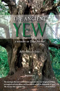 The Ancient Yew_cover