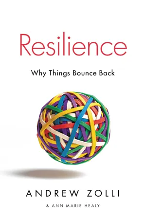 Resilience