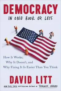 Democracy in One Book or Less_cover