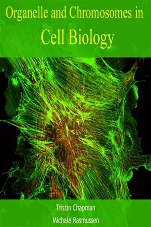 Organelle and Chromosomes in Cell Biology