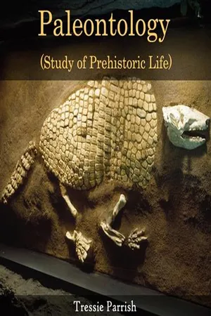 Paleontology (Study of Prehistoric Life)