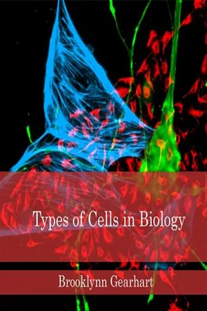 Types of Cells in Biology