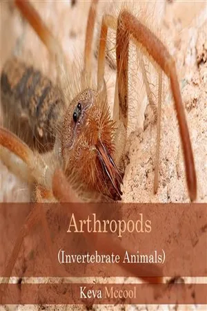 Arthropods (Invertebrate Animals)