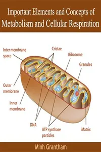 Important Elements and Concepts of Metabolism and Cellular Respiration_cover