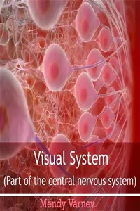 Visual System_cover