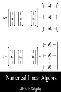 Numerical Linear Algebra_cover