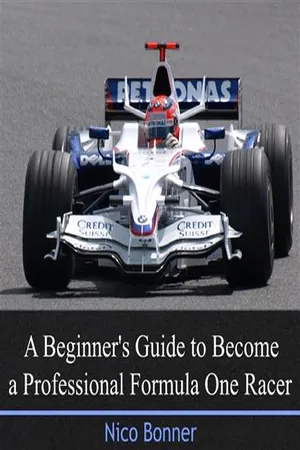 Beginner's Guide to Become a Professional Formula One Racer, A
