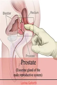 Prostate_cover