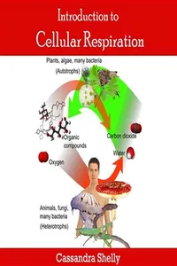 Introduction to Cellular Respiration_cover