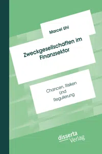 Zweckgesellschaften im Finanzsektor: Chancen, Risiken und Regulierung_cover