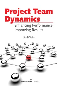 Project Team Dynamics_cover