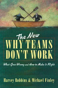 The New Why Teams Don't Work_cover