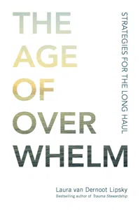 The Age of Overwhelm_cover