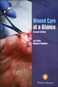 Wound Care at a Glance_cover