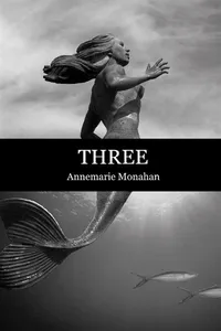 Three_cover