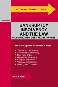 Straightforward Guide To Bankruptcy, Insolvency And The Law_cover