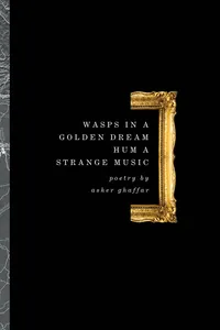 Wasps In A Golden Dream Hum A Strange Music_cover