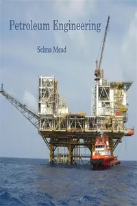 Petroleum Engineering_cover