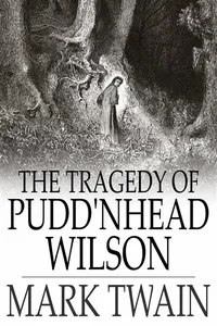 Tragedy of Pudd'nhead Wilson_cover