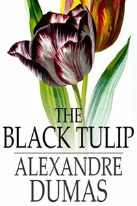 Black Tulip_cover