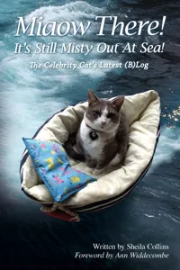 Miaow There! It's Still Misty Out At Sea!_cover