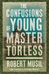 Confusions of Young Master Torless_cover