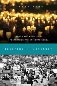 Igniting the Internet_cover