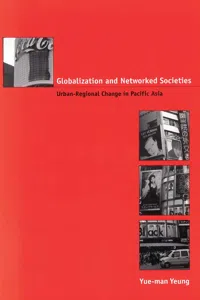 Globalization and Networked Societies_cover