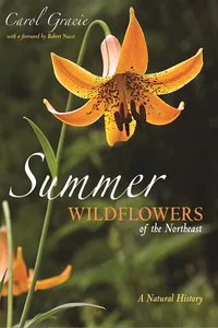 Summer Wildflowers of the Northeast_cover