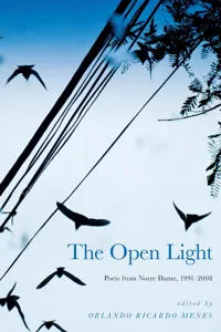 The Open Light_cover