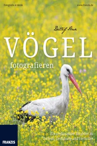 Vögel fotografieren_cover