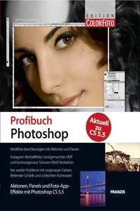 Profibuch Photoshop CS 5.5_cover