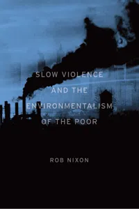 Slow Violence and the Environmentalism of the Poor_cover
