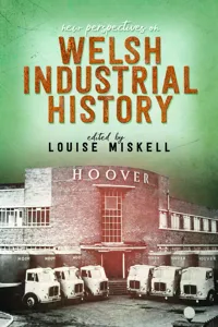 New Perspectives on Welsh Industrial History_cover